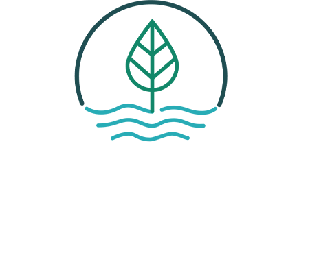 www.silveo.fr
